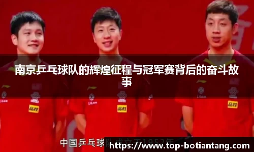 南京乒乓球队的辉煌征程与冠军赛背后的奋斗故事