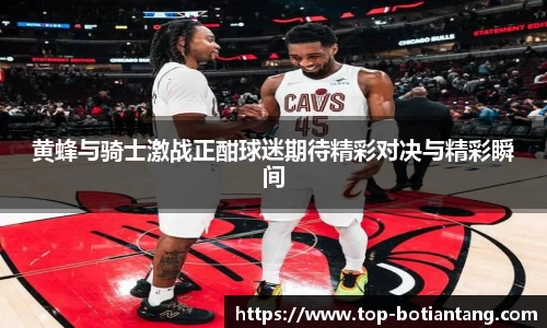 黄蜂与骑士激战正酣球迷期待精彩对决与精彩瞬间